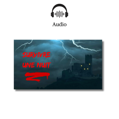 Livre audio Survivre une nuit